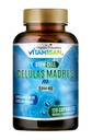 Celulas Madres AFA Stem Natural Cell 120 Capsules 1000 mg Blue Green Algae Non OGM Sans gluten Aphanizomenon Flos-aquae celula Supplément Madre