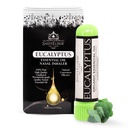 Eucalyptus Essential Oil Aromatherapy Nasal Stick Vapor Inhaler - Allergy Relief, USA Made with Organic Essential Oils, Natural Breathe Easy Support