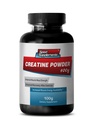 Sport Supplements Best Creatine Powder - Creatine Powder 100mg - Creatine Powder to Increase Energy and Stamina (1 Bottle)