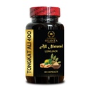 Longjack Tongkat Ali Capsules – Herbal Energy Booster - Simple Plant Support for Men with Busy and Active Lifestyles - 1 Bottle 60 Capsules