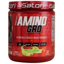 iSatori Amino-GRO BCAA Poudre, Acides aminés à chaîne ramifiée avec glutamine, poudre d'électrolyte et peptides bio-actifs bio-GRO pour la croissance musculaire et la récupération après entraînement, limonade givrée (30 portions)