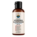 Supplément de glutathion liposomique AMANDEAN. Liquid Reduced Setria 500mg. Soutien immunitaire, Santé du cerveau, Détox hépatique, Santé de la peau. Phosphatidylcholine de Lécithine de tournesol non OGM. Sans soja et végétalien.