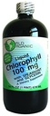 Liquid Chlorophylle Liquide avec Spearmint, 16 Fluid Ounce