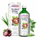 Baidyanath Asli Ayurved Slimo Vital Slimming Juice For Weight Loss 1L | With Garcinia, Aloe Vera & Gudmar | Supports Healthy Metabolism & Digestive Wellness | Plant Based Herbal Drink