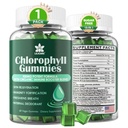 Gommies de chlorophylle - Super vert avec de l'herbe de blé, de la mousse de mer, du vinaigre de cidre de pomme non filtré et de la mûre, de l'échinacée, du complexe du zinc et de la vitamine D3, C, E, B12 pour le déodorant naturel, l'Immune et le soutien à la digestion, 60 Chews