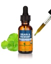 Herb Pharm Organic Nootropic Brain & Memory Supplement mit Ginkgo Biloba Liquid Extract: Schnelle Absorption für Mental Focus Support, Ginkgo Supplement, Vegan, Glutenfrei, Non-GMO, 1 Oz