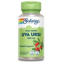 SOLARAY Uva Ursi Blatt 460 mg | Gesunde Blase, Nieren- und Harnwege-Funktion Unterstützung | Non-GMO | 100ct (Take 3 Daily)
