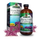 Réponse de la nature Calcium à base marine Magnésium, Crème de vanille, 16-Ounce.