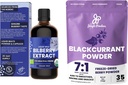 Poudres de jungle Extrait de bilberry sauvage pour les yeux USDA bio 3,4 oz Mélange de poudre de cassis Congeler l'extrait de cassis séché noir pour les smoothies