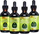 Go Nutrients Cold & Immune Bundle - Sélénium, Vitamine D3/K2, Immune Booster, Chlorophylle liquide – Support puissant pour le système immunitaire, renforce la défense du corps, le cœur et la vitalité, renforce respiratoire
