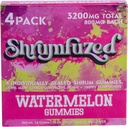 Nootropic Gummy 3200mg - Lion's Mane, Reishi, Chaga und Cordycep Nootropic Tripee Mushroom Blend (4, Wassermelone)