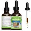 Bien-être des animaux Jeune au coeur pour chiens - Santé cardiaque, système circulatoire et cardiovasculaire, Hawthorn, Motherwort, Schisandra - Supplément à base de plantes vétérinaires 2 fl oz (59 ml)