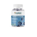 Himalaya Ashwagandha Gommies biologiques, KSM-66 Ashwagandha biologiques pour aider à soulager le stress, l'énergie et la relaxation, 60 Gommies avec délicieux BlackBerry Flavor