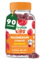 Gommies de Magnésium Lifeable pour les enfants de 900mg Citrate de Magnésium de Grand Dégustation pour les enfants Supplément de Magnésium de Gluten sans muscles et anti-stress Chewable de 90 Gummes