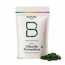 BioPure Chlorella Pyrénoidosa – 100% Organique, Cracked-Cell Wall, Nutraceutical Superfood emballé avec des protéines, vitamines, minéraux et acides aminés qui soutient le métabolisme, la désintoxication et l'immunité – 400 comprimés