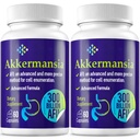 300 milliards d'AFU Akkermansia Probiotique pour les femmes et les hommes, Akkermansia Muciniphila pour plus de production GLP-1, Digestive, Gut & Immune, Gut Digestive Lining Function, 120 comte