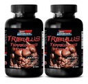 pilules pour les hommes sexe long et fort - TRIBULUS TERRESTRIS EXTRACT 1000MG - MUSCLE STRENGTH, booster de fertilité masculine, pilules libido masculine, pilules sexuelles masculines, amélioration masculine, booster d'endurance, 2B 120 Comprimés