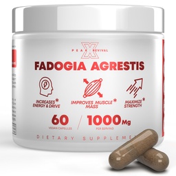 Fadogia Agrestis 1000mg par supplément de service - Extrait de potentiel pour augmenter l'énergie, la performance athlétique et la masse musculaire - Suppléments, fabriqués aux États-Unis (60 capsules)