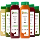 1 Day Juice Cleanse by Raw Fountain, All Natural Raw Detox Cleanse, Juicing for Body Reset, Kaltgepresster Saft Schnell, Großer Weg zum Jumpstart einer gesunden Ernährung 6 Flaschen 12oz