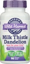 Dandelion de chardon de chardon sauvage de l'Oregon - Extrait normalisé à 80% Silymarins (90 capsules)