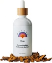Rainbo - Chaga Mushroom Tincture - Dual Extract Mushroom Supplement - Immununterstützung, Cellular Support, Liquid Chaga Supplement, Vegan, Non GMO, 3,4 fl oz