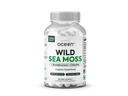 Organics Ocean Wild Sea Moss Capsules - 100% Bio Irish Sea Moss with Organic Chlorella, Bladderwrack and Vitamine D for Energy, Lung Health and Thyroïde Support for Women and Men - 60 Capsules