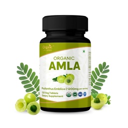 Amla 120 Tabletten – USDA Organic Indian Gooseberry – Reich an Vitamin C & unterstützt Immungesundheit*