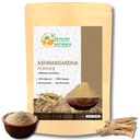 Herbes Botanica Ashwagandha Poudre de racine Withania Somnifera Poudre Ashwaganda Supplément ayurvédique à base de plantes Soutien et résistance 5,3 oz