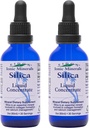 Eidon Liquid Silica Mineral Konzentrat - Silica Ergänzung für Haar, Haut und Nägel, Silica Tropfen zur Unterstützung Collagen Produktion, kein hinzugefügter Zucker - 2 oz, 2 Pack