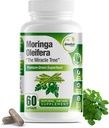 Pure Moringa Oleifera Capsules Superfood Vertes avec des Acides Amino, Oméga 3 et Vitamine C - Boosts Energy, Mood, Memory, Immmune Support - Fabriqué à partir de Moringa Organique, Non-OGM - 60 Capsules (1 Bouteille)