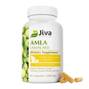 Jiva Botanicals Amla Capsules (Amalaki) - 60 Capsules Vegan - Amla Poudre - Supplément de Gooseberry indien pour la vitalité