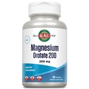 KAL Magnésium Orotate 200 mg, Formule d'absorption supérieure, Magnésium chélaté pour les os sains, les dents, le nerf et la fonction musculaire, végétarienne, non-OGM, sans gluten, 30 portions, 120 VegCaps