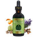 Go Nutrients Intestinal Edge – Gut Cleanse for Humans with Wormwood, Black Walnut, Clove - Detox Liquid for Women, Men, Children & Adults - Soutien à base de plantes biologiques pour la digestion et le bien-être – 2oz