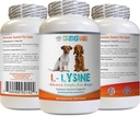 Suppléments d'acide amino-chien - Poudre de LYSINE - Forme de poudre pure - Support du système immunitaire - Vet recommandé - Chiens lysins - 1 bouteille (8oz 226.8 grammes)