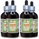 Chardon (Carlina acaulis) Glycérite, racines séchées Extrait liquide sans alcool (Marque: HerbalTerra, Fièrement fabriqué aux États-Unis) 4x4 fl.oz (4x120 ml)