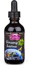 Dragon Herbs Ginseng Sublime gouttes de tout le supplément d'extrait naturel pour soutenir l'énergie, le stress, le focus, la peau, l'endurance, les poumons, la santé immunitaire