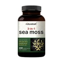 Capsules de mousse de mer d'Irlande, 3000mg par portion, 240 pilules Veggie, en poudre crue biologique, plus la racine de bladderwrack et de bardock, complexe de légumes de mer – Imune & Thyroïde Superfood Support – Non-OGM