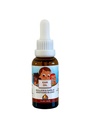 Punkin Butt Baby Ohr Öl | Bio Knoblauch, Mullein, Calendula Ohr Tropfen sicher für Infants (1 oz)
