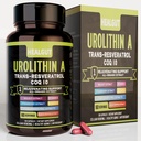 Urolithine Un supplément pour les femmes travaillant en milieu urbain : Capsules anti-âge avec trans-résvératrol et CoQ10 - USA Lab Verified Support Vieillissement en santé et renouvellement cellulaire(9in1)