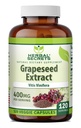 Herbal Secrets Extrait de graines de raisin 400 mg 120 Gélules Supplément - Non-OGM - Sans gluten