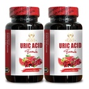 URIC Säure-Unterstützung - Wiederherstellung Joint Comfort, Mobilität, Flexibilität, umfasst Tart Cherry, Chanca Piedra, Celery Extract & Turmeric - 2 Flaschen 120 Kapseln