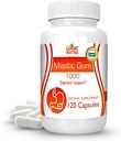 Capsules de Gum Mastic Premium - Supplément de soutien gastro-intestinal naturel, 1000mg par portion - 120 Capsules (1 bouteille)