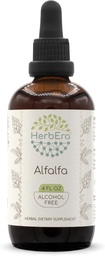 HerbEra Alfalfa B120 Teinture d'extrait de plantes sans alcool, gouttes concentrées de liquides Alfalfa naturel 4 fl oz