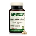 Standard Process Collinsonia Root - Healthy Vascular Tissue Support Supplement - Bladder & Kidney Health Supplement with Collinsonia Root - Supplement to Aid Digestive Health - 150 Capsules