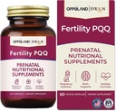 Fécondité PQQ-Suppléments nutritionnels prénatals-supports Santé prénatale, Bien-être prénatal-60 Capsules