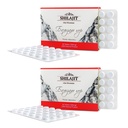 Altai Shilajit 120 Tabletten Mountain Balsam Label - Original Altai Sibirische 100% reine Fulvic Säure und Trace Minerals