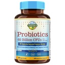 Terranics Probiotiques 60 Million CFU, 20 souches, 60 capsules de légumes, prébiotiques et probiotiques, supplément probiotique stable de plateau pour les hommes et les femmes, santé digestive et immunitaire, non-OGM, NO Soy, lait et gluten
