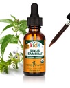 Herb Pharm Kids Certifié sans alcool Sinus Samurai Formule à base de plantes liquides, biologique, 1 Fl Oz