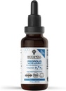 Extrait de propolis liquide de BEE et vous, soluble dans l'eau, vitamines D3+K2, haute puissance, supplément de soutien immunitaire, soulagement de la gorge, antioxydants, céto, paléo, sans gluten, 1 Fl Oz (1 paquet)