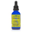 Eidon Ionic Minerals Liquid Molybdän Supplement - Flüssige Ionic Minerals, Molybdän Tropfen, All Natural, Ohne Zusatz von Zucker, Unterstützt Biologische Prozesse, Mineralische Beilagen, 2 Unzen